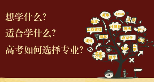 高考专业选择:大学各专业就业方向汇总
