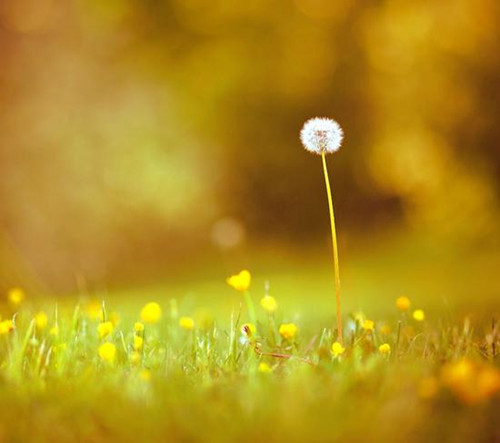 中考英语作文怎么写 中考英语满分作文必备短语