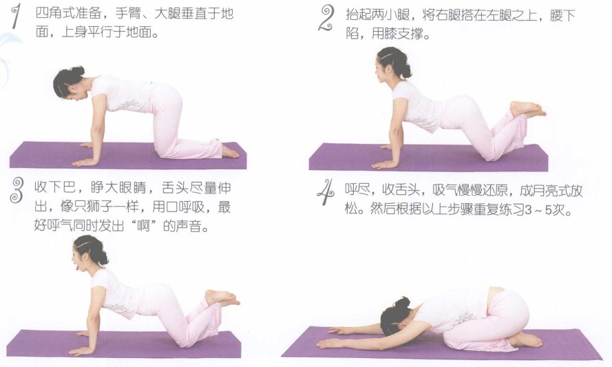 瑜伽体式-狮子式