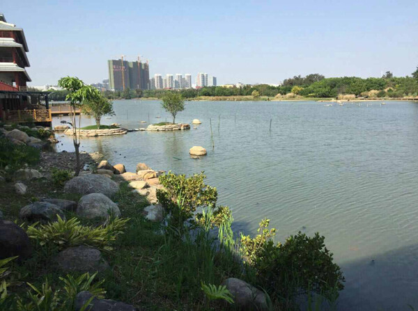 厦门索汉瑜伽培训学校