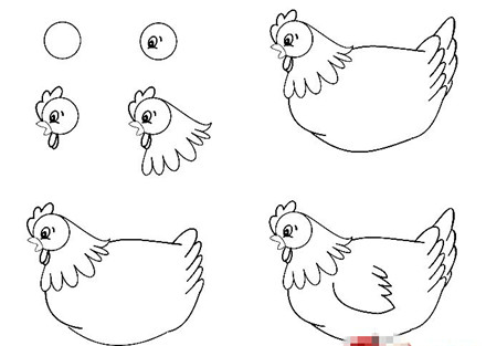 简笔画老母鸡画法大全