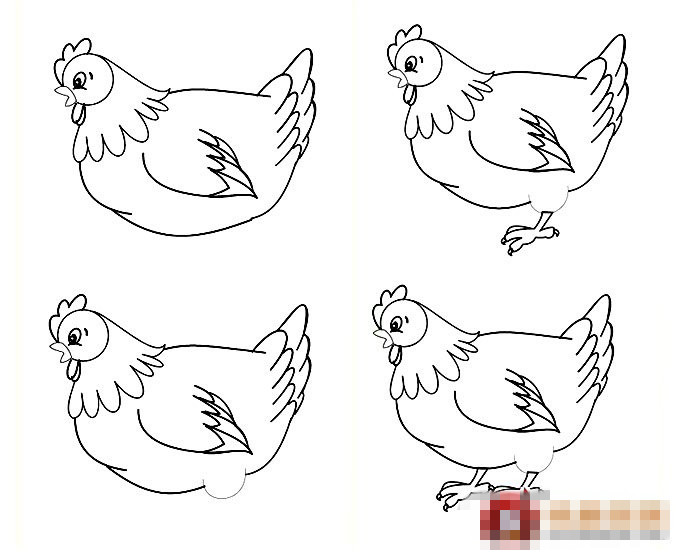 这一简笔画老母鸡教程,是一个比较复杂的画法: 1、依次画出鸡的头部,眼部,嘴巴鸡冠,和脖子的羽毛; 2、画出鸡的身子; 3、加上短短的尾巴羽毛; 4、在身体的中间加上翅膀。 5、继续给老母鸡的翅膀画羽毛; 6、画出与身子连接处的腿部; 7、画出鸡爪; 8、画出另一只腿部鸡爪。