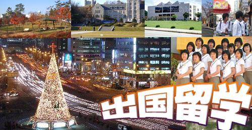 福建省予以资格认定的自费出国留学中介服务机构名单