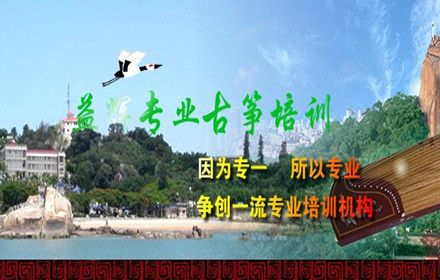 厦门哪里可以学古筝-厦门益辉古筝培训