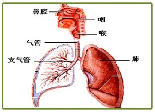 厦门上门清洗空调 厦门空调上门清洗服务