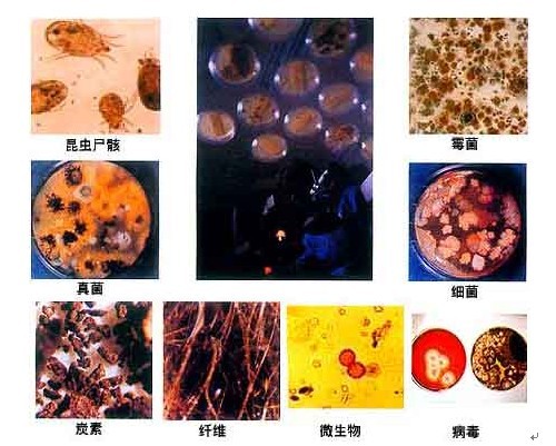 յϴ绰 յά޼Ӱ绰
