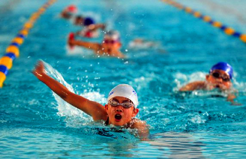 2019���Ź����Ļ�����Ӿ��ѵ��������