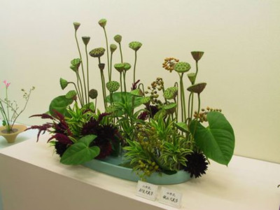 厦门插花技术培训哪家好 厦门专业插花技术培训