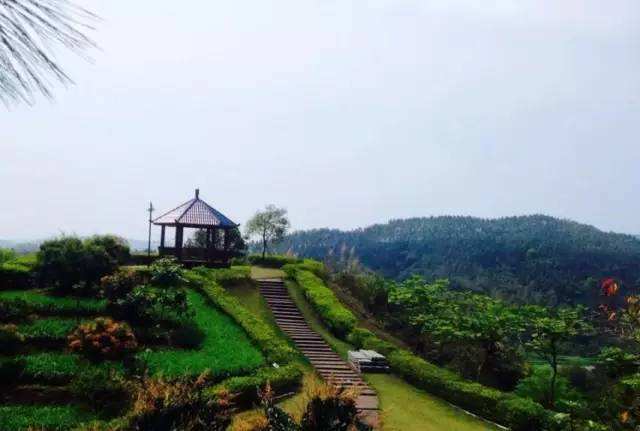 漳州户外团建活动基地推荐-长泰福友生态农场