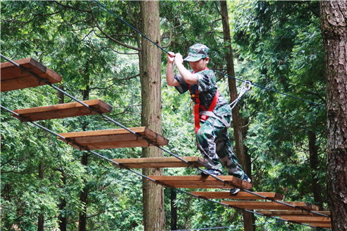 Ȫ��ѧ������Ӫ����ȽϺ� Ȫ��С��Ӣ������ѵӪ