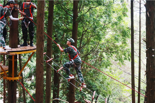 Ȫ����Сѧ������Ӫȥ���� Ȫ����Сѧ������Ӫ������