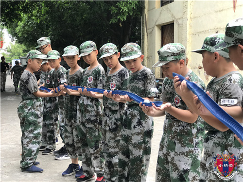 杭州上城区哪里有中小学生夏令营报名