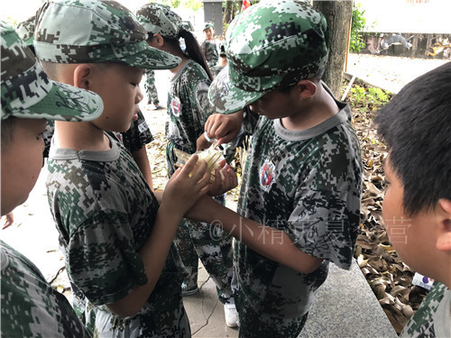 九江中小学夏令营活动方案