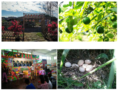 厦门同安研学基地-同安丽田园休闲农庄研学基地