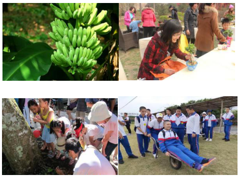 厦门同安研学基地-同安丽田园休闲农庄研学基地