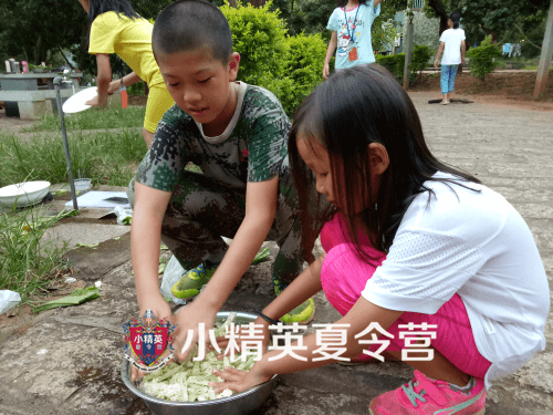 ���ż�����������Ӫ����-2019С��Ӣ��������Ӫ