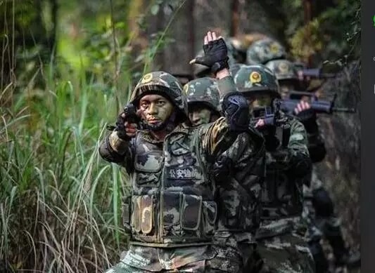 漳州芗城少儿暑期班报名