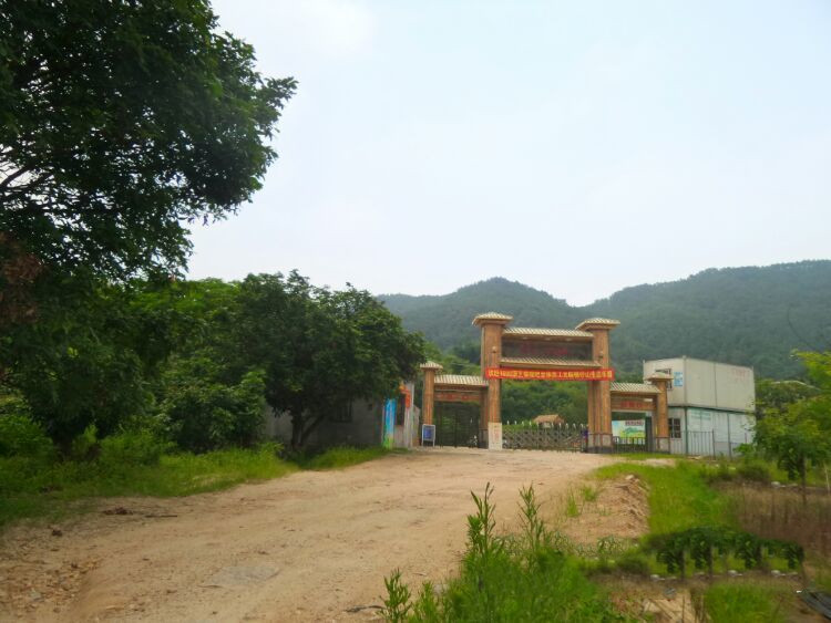 同安拓展基地推荐-锦仔山生态乐园基地-厦门拓展培训