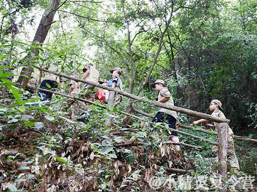 ����Ӫ���Ŀ����Щ��