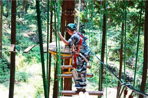 深圳盐田区三年级夏令营费用