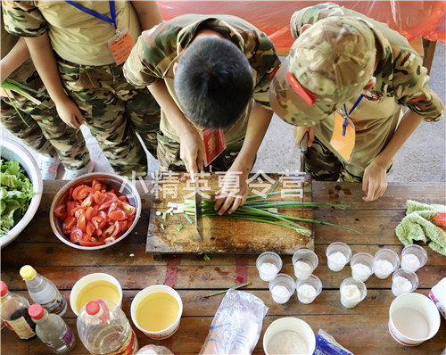 ������������Ӫ������