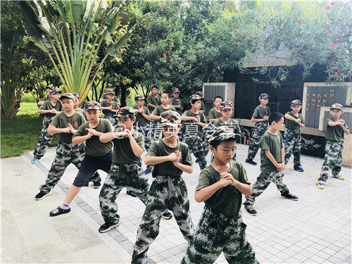 广州番禺区小孩子夏令营去哪好