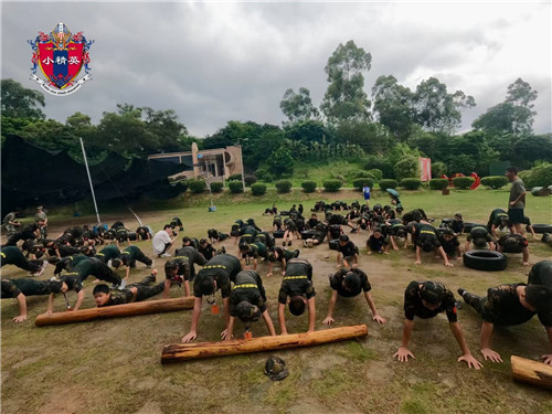 �Ϻ������ٶ���������Ӫ�Ƽ�