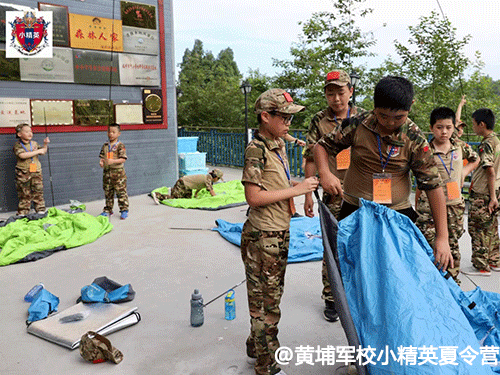 ��ݸ���Ҿ�УС��Ӣ����Ӫ