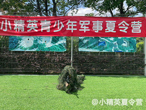 东莞谢岗镇暑假班夏令营_东莞谢岗镇小精英夏令营