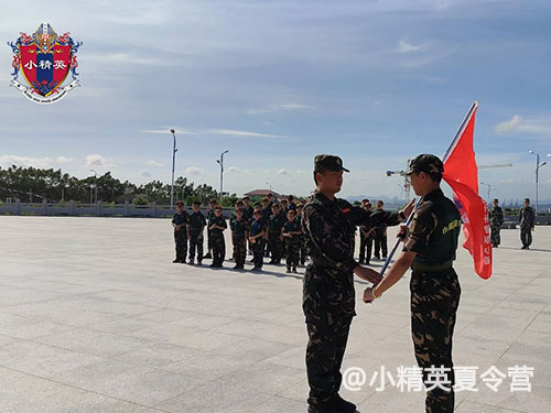 泉州鲤城怎么参加夏令营
