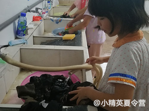 广州黄埔夏令营汇总