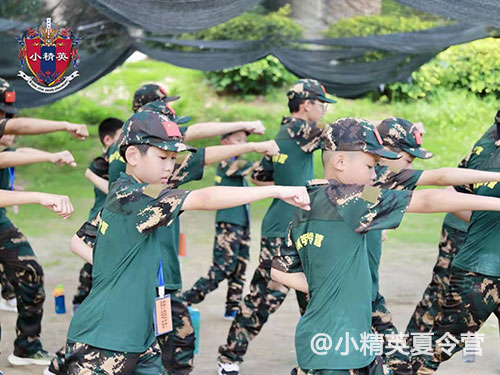 苏州夏令营小学生多少钱_小精英夏令营