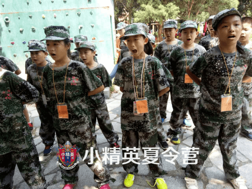 杭州哪可以报名中小学生夏令营