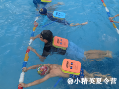 厦门暑期游泳夏令营推荐