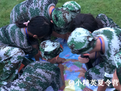 泉州要怎么报名夏令营活动？