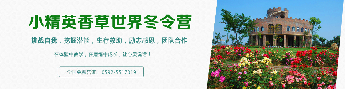 小精英厦门冬令营